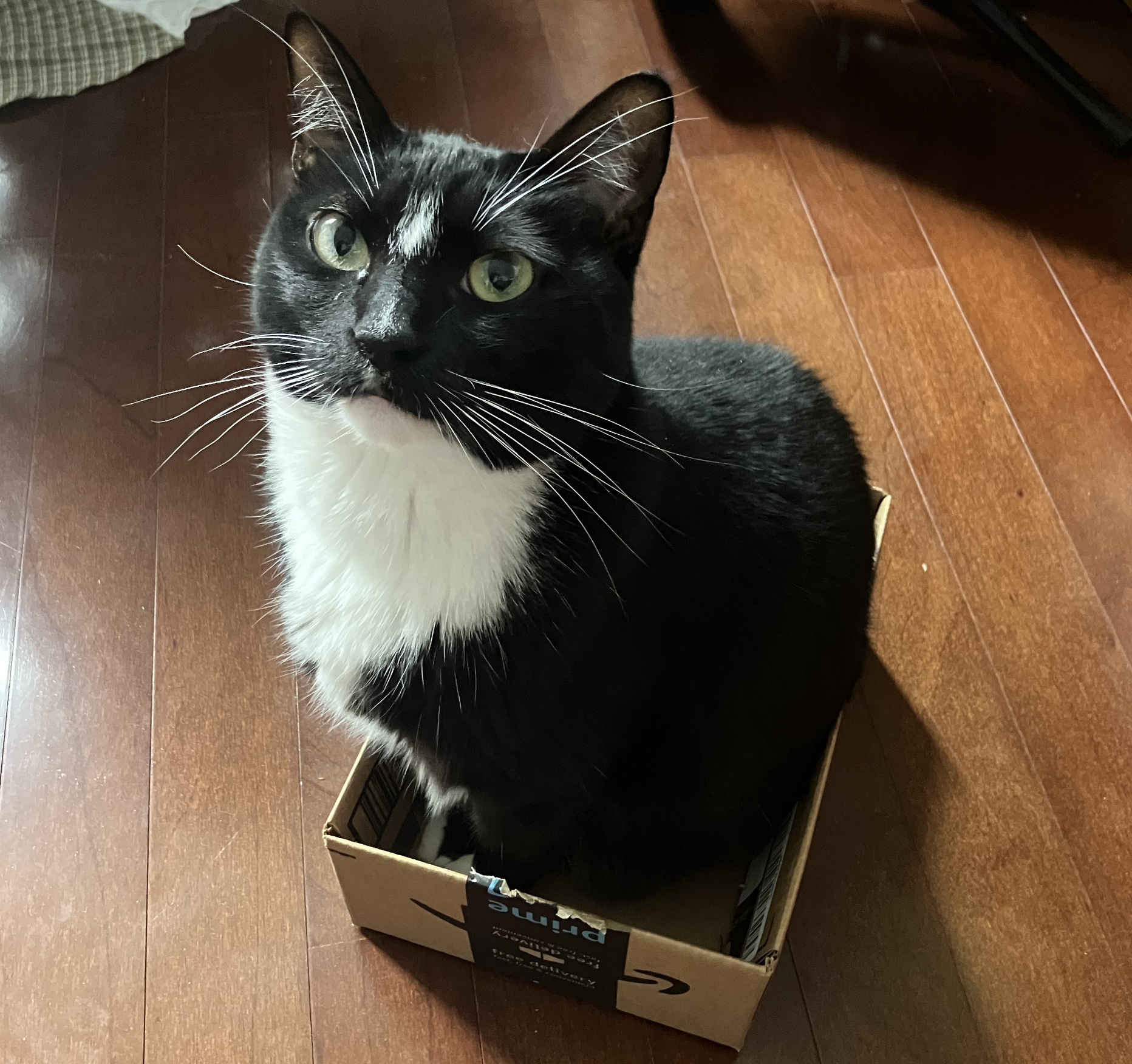 Pips, the art of being wrong, and why you're tired all the time