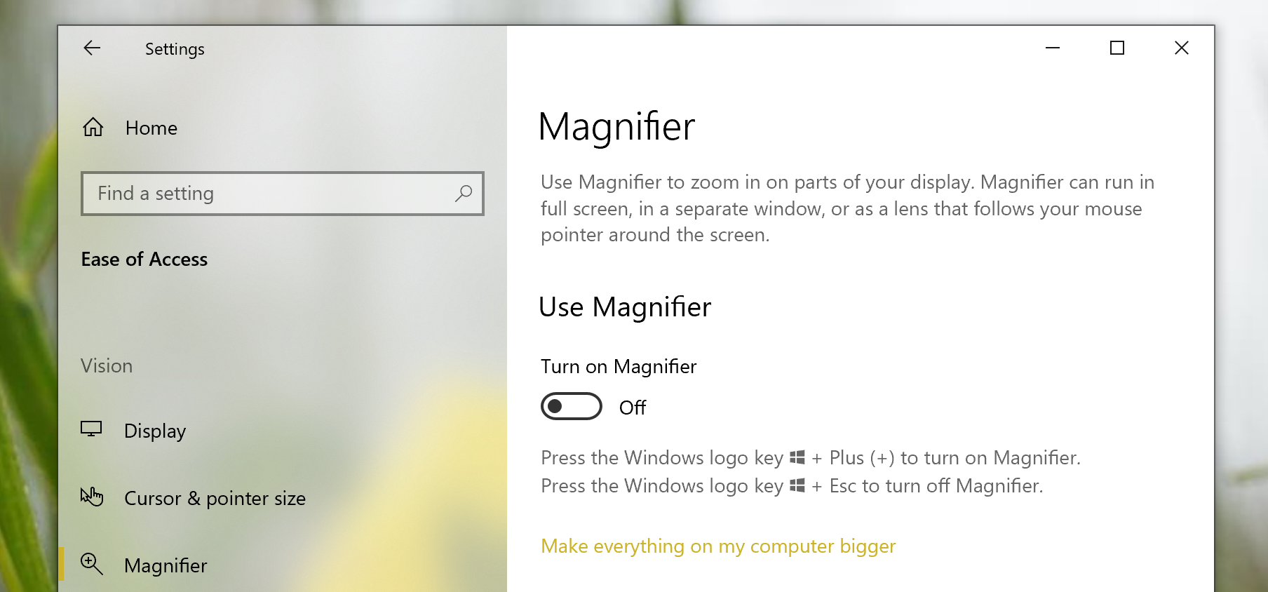 Magnifier in Windows 10