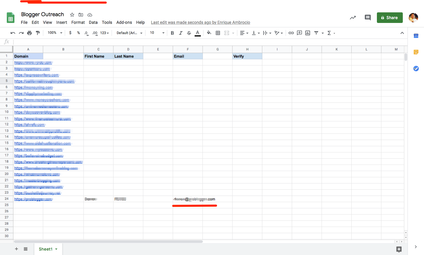 A spreadsheet with columns for domain, first name, last name, email, and verify, with a new email entered in one row.