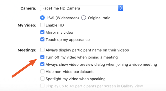 Zoom video options